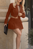 Brown Casual Solid Color Zipper Zipper Collar Long Sleeve Two Pieces