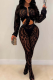 Black Casual Solid Color See-Through Turndown Collar Long Sleeve Two Pieces