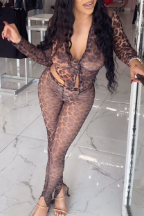 Dark Brown Sexy Leopard Print See-Through Deep V Neck Long Sleeve Two Pieces