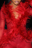 Red Casual Solid Color Feathers V Neck Long Sleeve Two Pieces