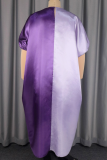 Purple Casual Contrast Asymmetrical Collar Long Dresses