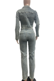 Blue Casual Solid Color Zipper Zipper Collar Long Sleeve Two Pieces