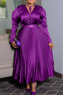 Purple Elegant Solid Color Pleated V Neck Plus Size Two Pieces