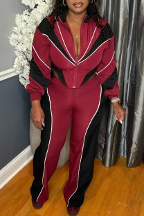 Burgundy Casual Contrast Zipper Collar Long Sleeve Two Pieces