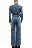 Light Blue Casual Solid Color Buckle Turndown Collar Long Sleeve Two Pieces