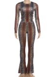 Coffee Casual Print Contrast O Neck Long Sleeve Two Pieces