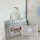 White Daily Errands 2-Piece Logo Tote Bag Handheld Crossbody Fresh Sweet Outfit Bag