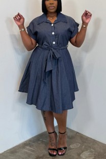 Deep Blue Casual Solid Color Turndown Collar A Line Dresses