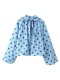 Blue Casual Y2k Polka Dot Pullovers Tops
