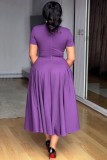 Purple Plus Size Formal Solid Color V Neck A Line Plus Size Dresses