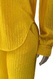 Pink Casual Daily Solid Color Turndown Collar Long Sleeve Two Pieces