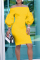 Temperament Lantern Sleeves Yellow Knee Length Dress