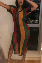 Sexy Straight Multicolor Net Yarn Striped Dress