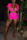 Casual Sexy Fluorescent Pink Sports Two-piece Set