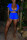 Casual Sexy Fluorescent Blue Sports Two-piece Set