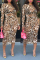 Fashion Mesh Brown Leopard Print Dress