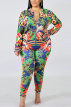 Fashion Casual Plus Size Green Print Two Piece Suit