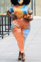 Orange Street O Neck Print Solid Tie Dye Plus Size