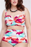 Multi Sexy Fashion Print Plus Size Swimsuit Set