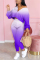 purple Casual OL Print Gradient Straight Long Sleeve Two Pieces