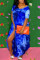 Blue Fashion Sexy Regular Sleeve Short Sleeve V Neck Printed Dress Floor Length Print Dresses