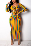 Yellow Sexy Regular Sleeve Long Sleeve V Neck Printed Dress Ankle Length Striped Print Dresses