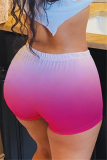 Pink Elastic Fly Mid Gradient Straight shorts Bottoms