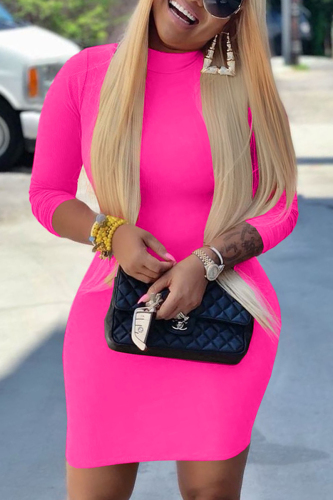 Rose Red Casual Regular Sleeve Long Sleeve Half A Turtleneck Pencil Skirt Mini Solid Dresses