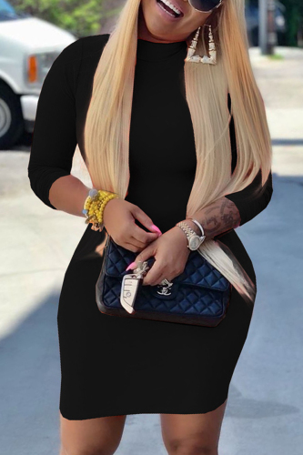 Black Casual Regular Sleeve Long Sleeve Half A Turtleneck Pencil Skirt Mini Solid Dresses
