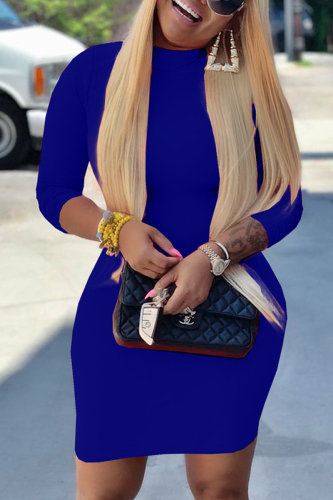 Blue Casual Regular Sleeve Long Sleeve Half A Turtleneck Pencil Skirt Mini Solid Dresses