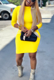 Yellow Casual Regular Sleeve Long Sleeve Half A Turtleneck Pencil Skirt Mini Solid Dresses
