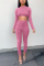 Pink Casual Sportswear Long Sleeve O Neck Regular Sleeve Short Solid Two Pieces