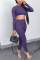 Purple Casual Sportswear Long Sleeve O Neck Regular Sleeve Short Solid Two Pieces