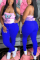 Blue venetian Elastic Fly Mid Solid pencil Pants Bottoms