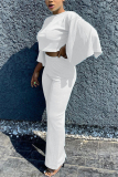 White Fashion adult Ma'am OL Solid Two Piece Suits Straight Three Quarter Two Pieces