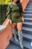 Army Green Fashion Sexy Regular Sleeve Long Sleeve O Neck Wrapped Skirt Mini Patchwork Dresses
