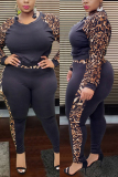 Leopard print Sexy Print Regular Long Sleeve Two Pieces
