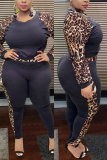 Leopard print Sexy Print Regular Long Sleeve Two Pieces