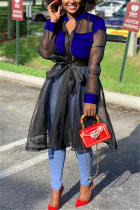 Blue Casual Long Sleeves Mandarin Collar Swagger Knee-Length Bowknot Print Patchwork Mesh perspective Dresses