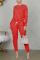 Red Casual Solid Straight Long Sleeve Two Pieces