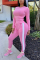 Pink Fashion Casual Long Sleeve O Neck Regular Sleeve Regular Solid Two Pieces