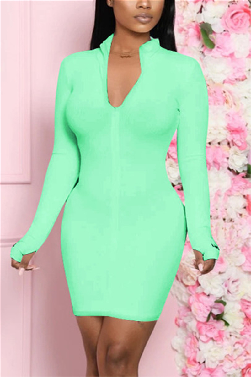 

Light Green Casual Regular Sleeve Long Sleeve Zipper Collar Mini Solid Dresses