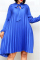 Blue Casual Regular Sleeve Long Sleeve Mandarin Collar Pleated Knee Length Solid Dresses