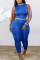 Blue Fashion Sexy O Neck Sleeveless Off The Shoulder Skinny Patchwork Jumpsuits