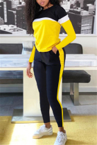 Yellow Casual Sportswear Long Sleeve O Neck Regular Sleeve Regular Patchwork Two Pieces