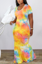 Orange OL Sleeve Short Sleeves V Neck Swagger Floor-Length Print Dresses