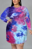 Blue Fashion Casual O Neck Long Sleeve Regular Sleeve Print Printed Dress Plus Size
