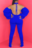 Royal Blue Sexy Turtleneck Long Sleeve Off The Shoulder Skinny Solid Jumpsuits