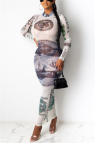 Gray Sexy Regular Sleeve Long Sleeve Half A Turtleneck Printed Dress Ankle Length Print Dresses
