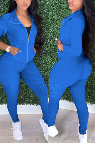Royal blue Fashion Sexy Adult Patchwork Solid Patchwork Turndown Collar Long Sleeve Regular Sleeve Regular Two Pieces
